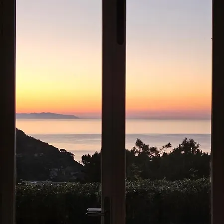 Apartment Alta Marina